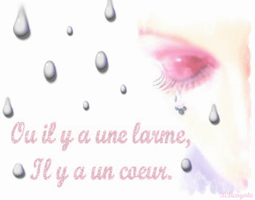Bonjour a vous tous