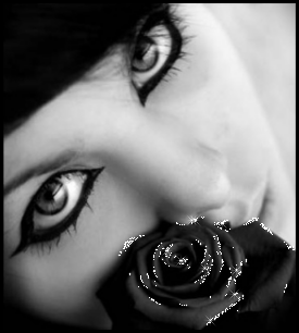 bonne ann�e a tous