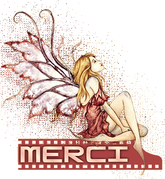 Merci chanou pour ton cadeau reçu