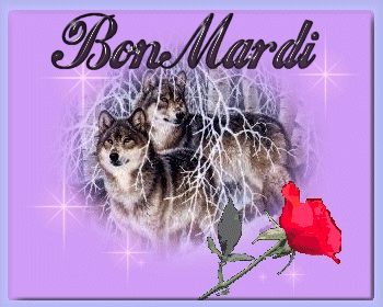BoNjOuR A tOuS