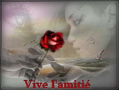 Merci pour votre Amiti�(e)