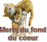 je vous oublie pas merci