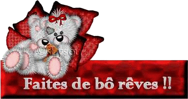 Bonne nuit a tous